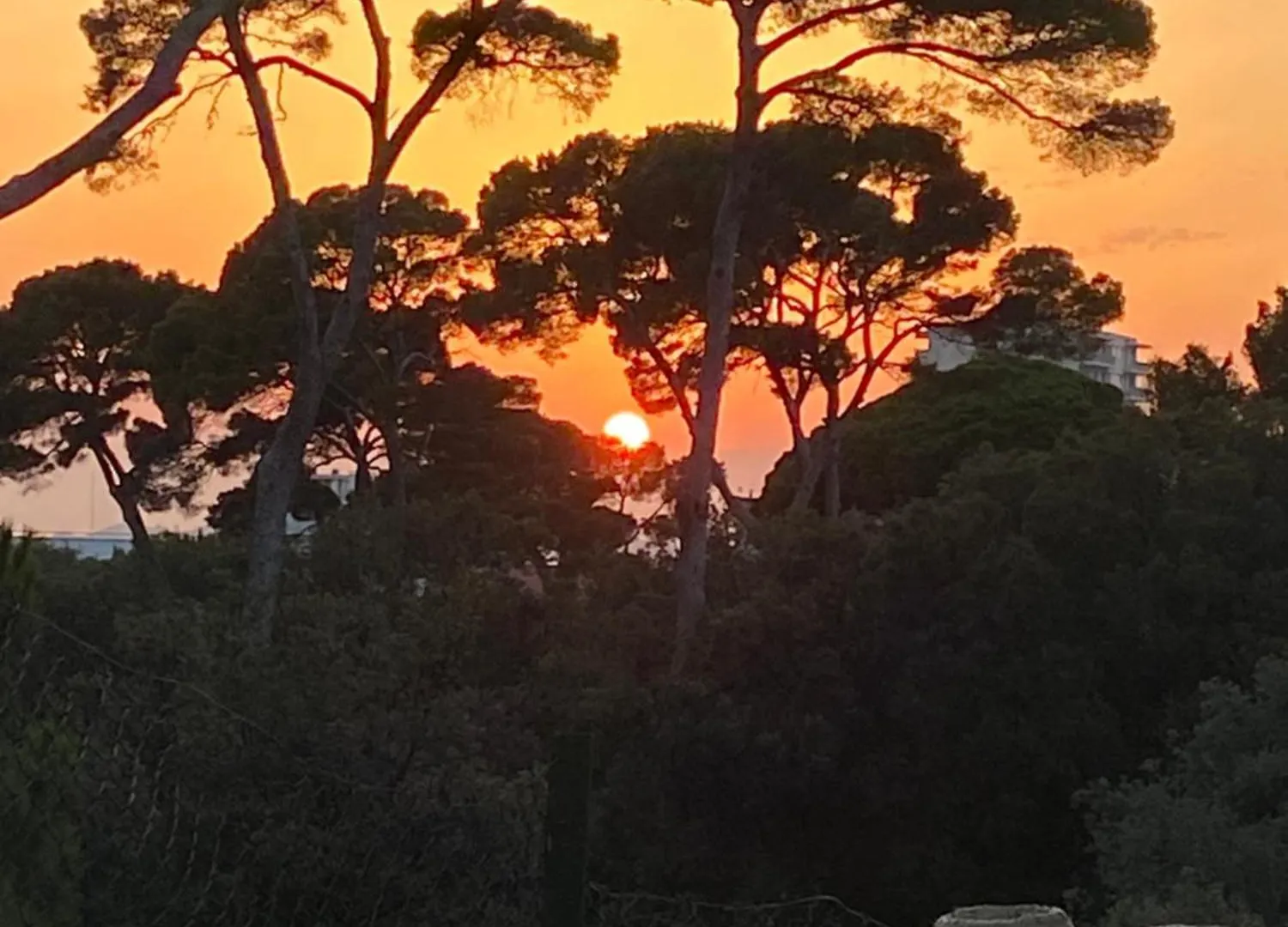 Vila Les Alizes Marseille